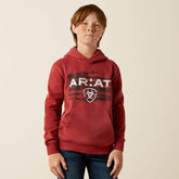 Ariat Ariat Liquid Stamp Flag Hoodie For Sale