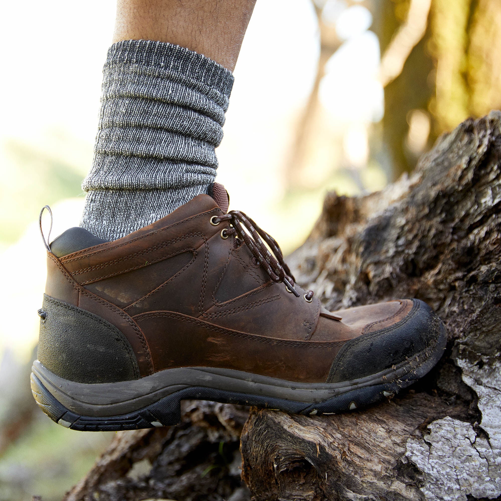 Ariat Terrain Waterproof Boot Online