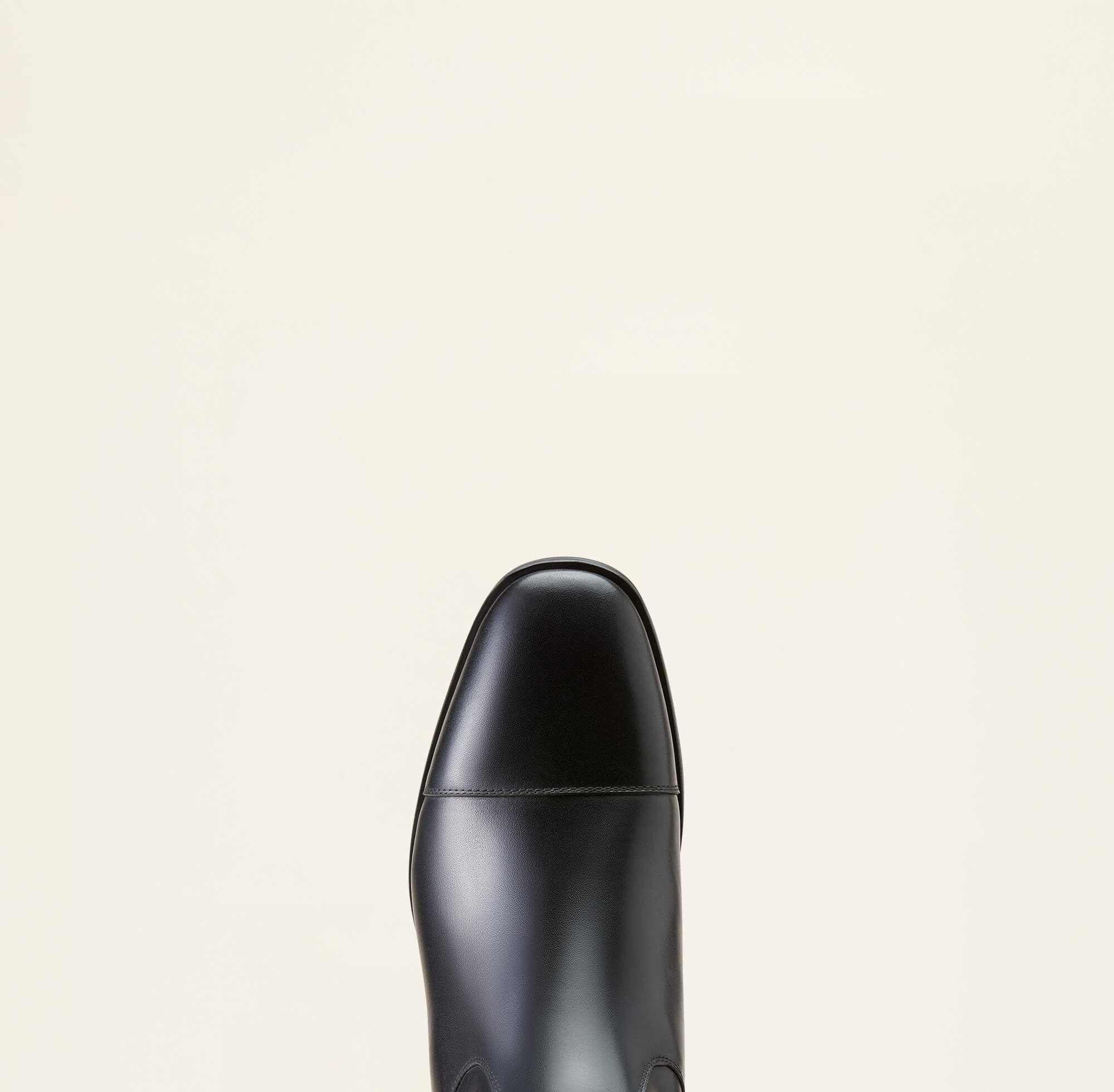 Ariat Ravello Dress Tall Riding Boot Outlet