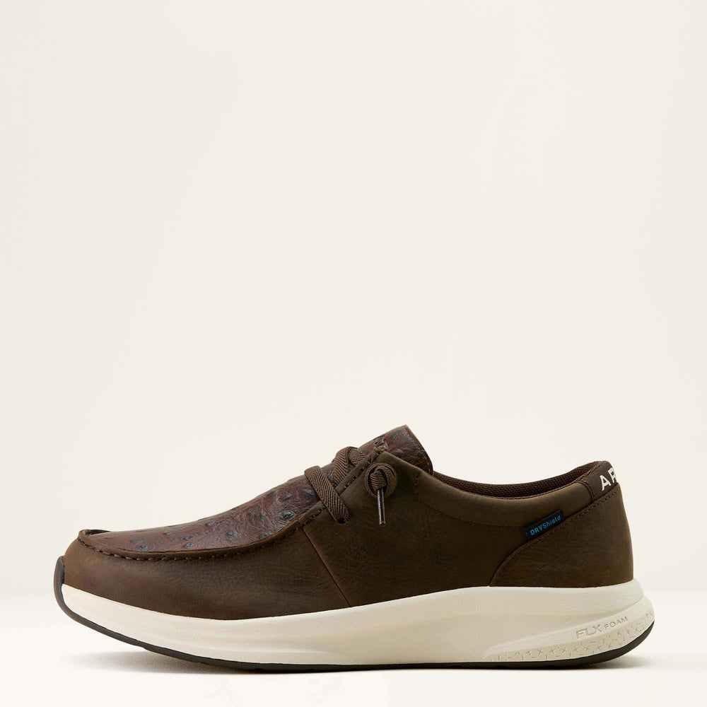 Ariat Buckeye Waterproof Shoe For Sale