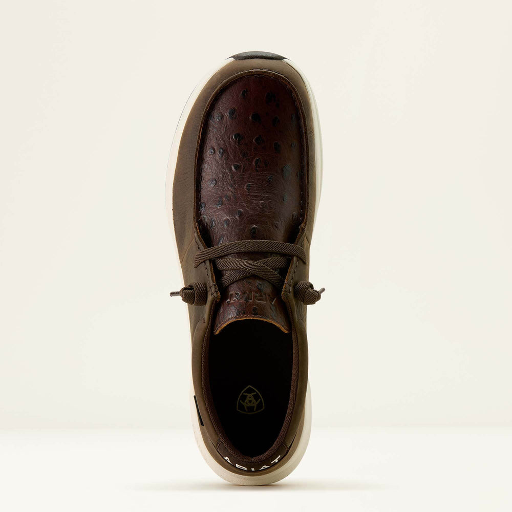 Ariat Buckeye Waterproof Shoe For Sale