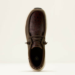 Ariat Buckeye Waterproof Shoe For Sale