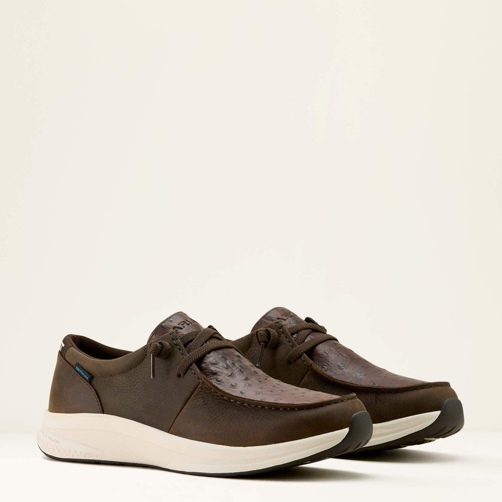 Ariat Buckeye Waterproof Shoe For Sale