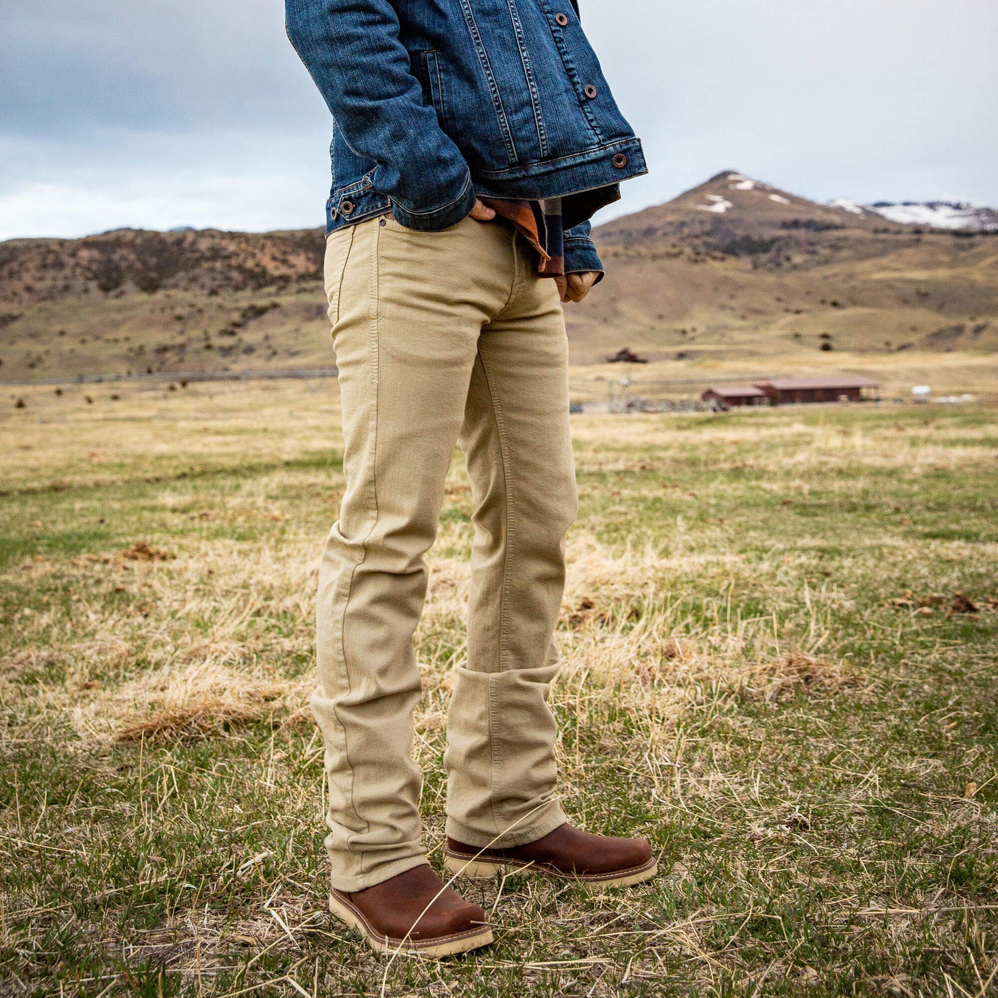 Ariat M7 Grizzly Straight Jean For Sale