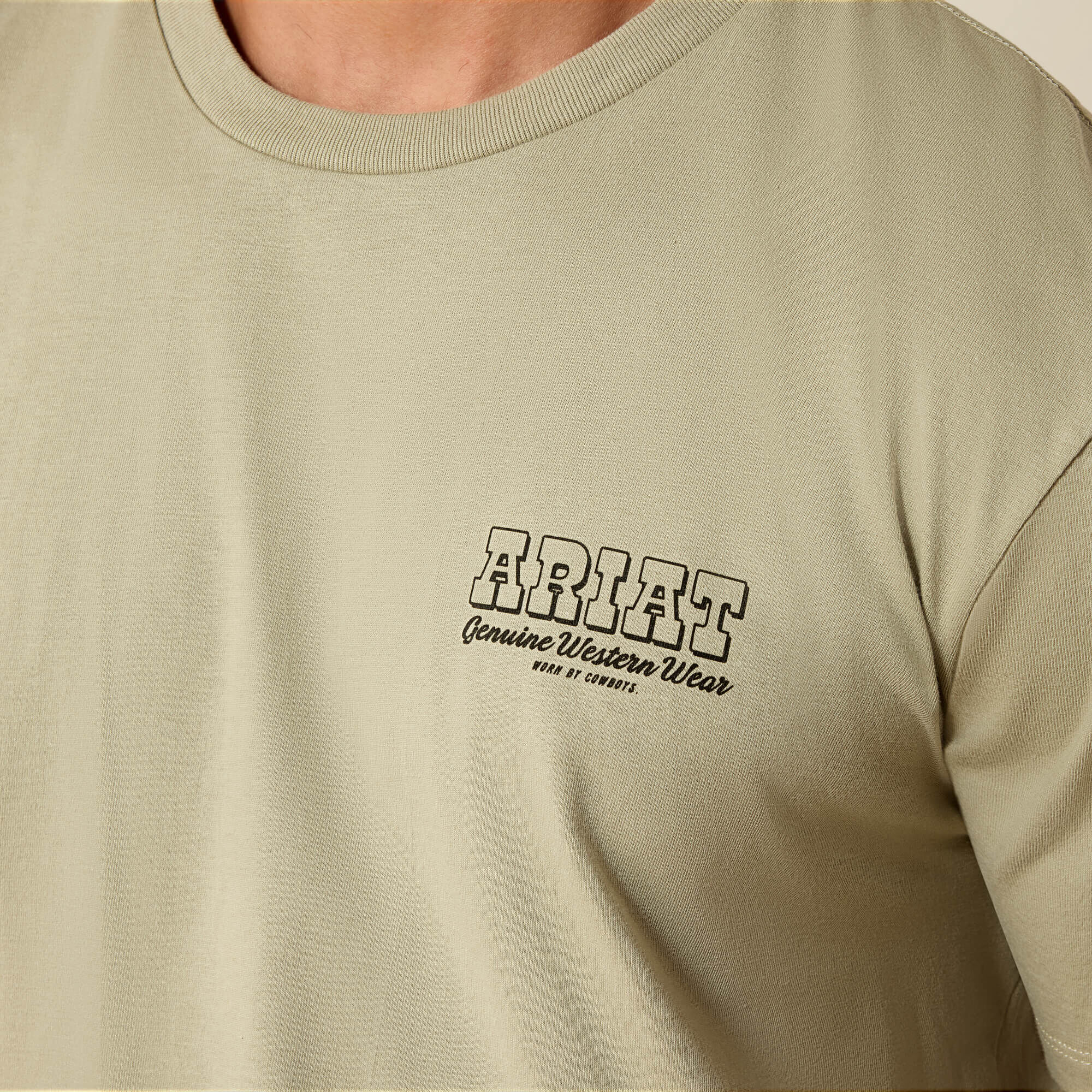 Ariat Ariat Porcupine Posse Classic Fit T-Shirt Online