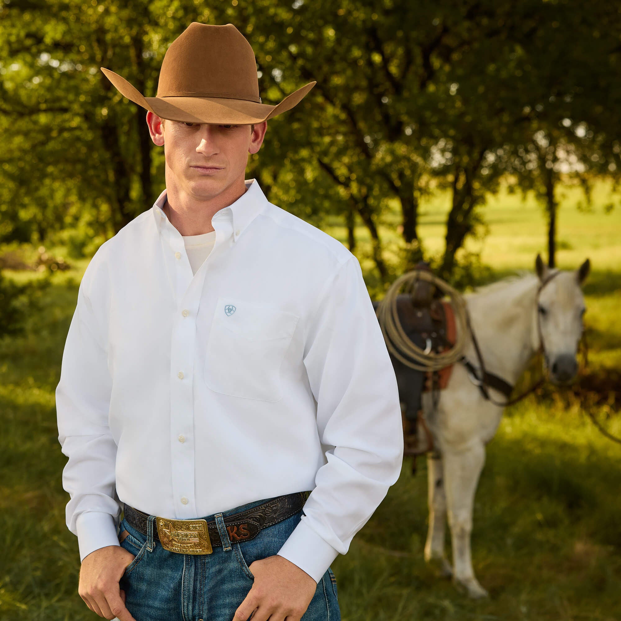 Ariat Wrinkle Free Solid Classic Fit Shirt For Sale