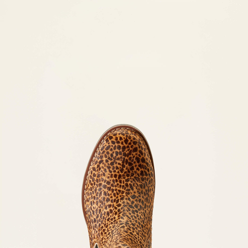 Ariat Wexford Chelsea Boot Outlet