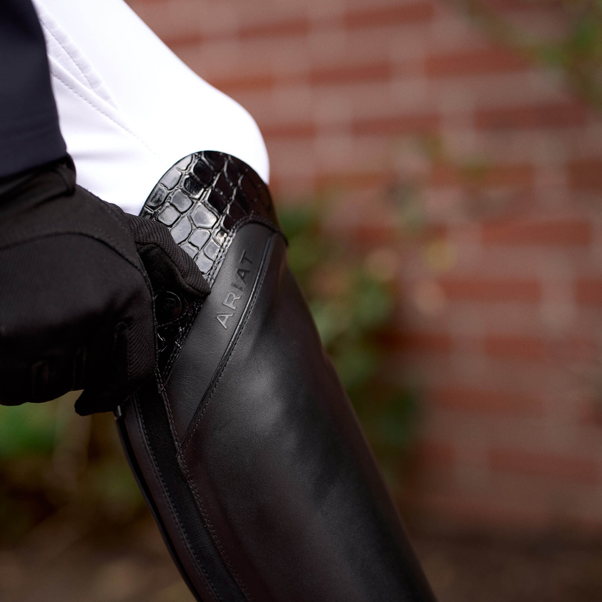 Ariat Palisade Show Tall Riding Boot For Sale