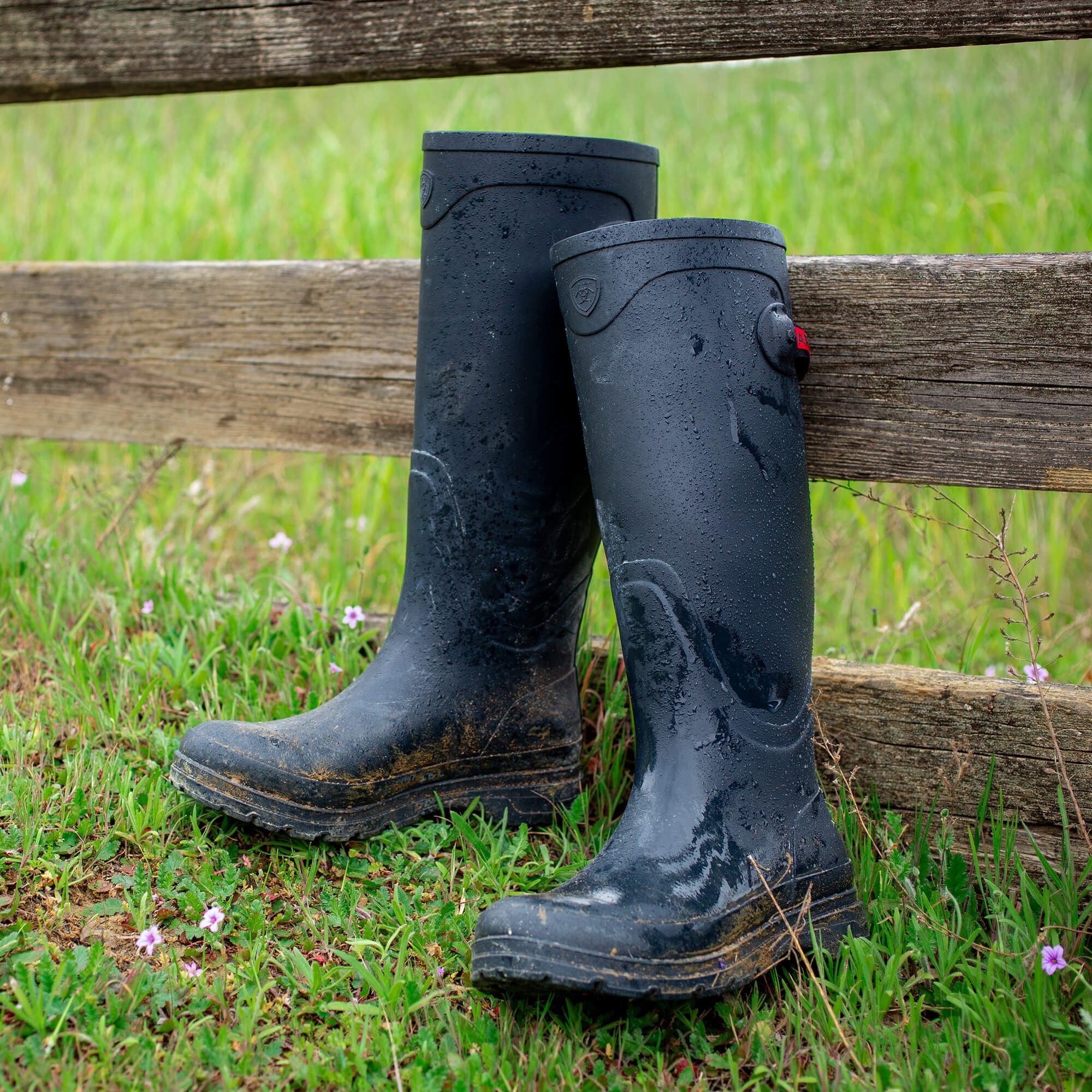 Ariat Kelmarsh Rubber Boot On Sale