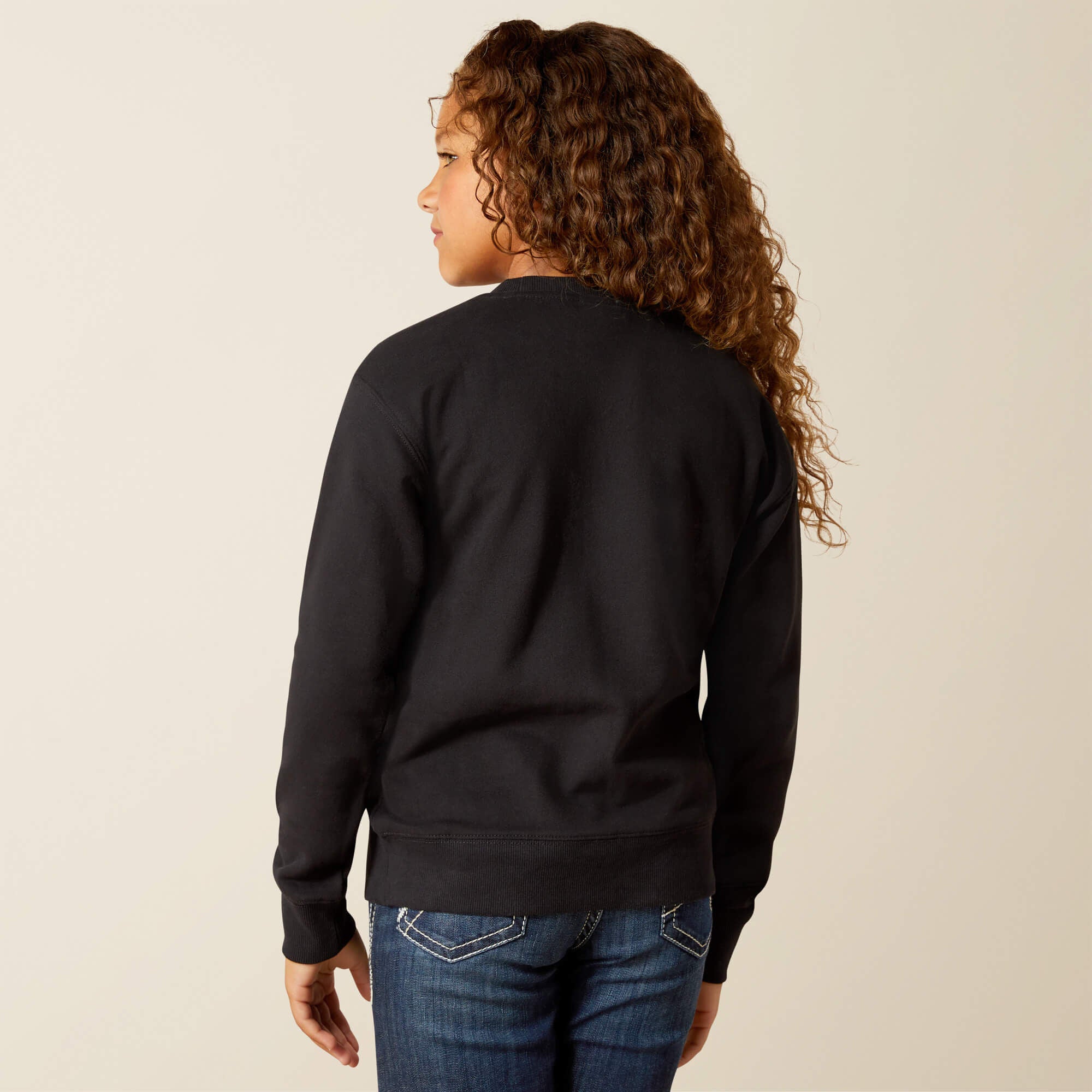 Ariat Booted Logo Sweatshirt Online