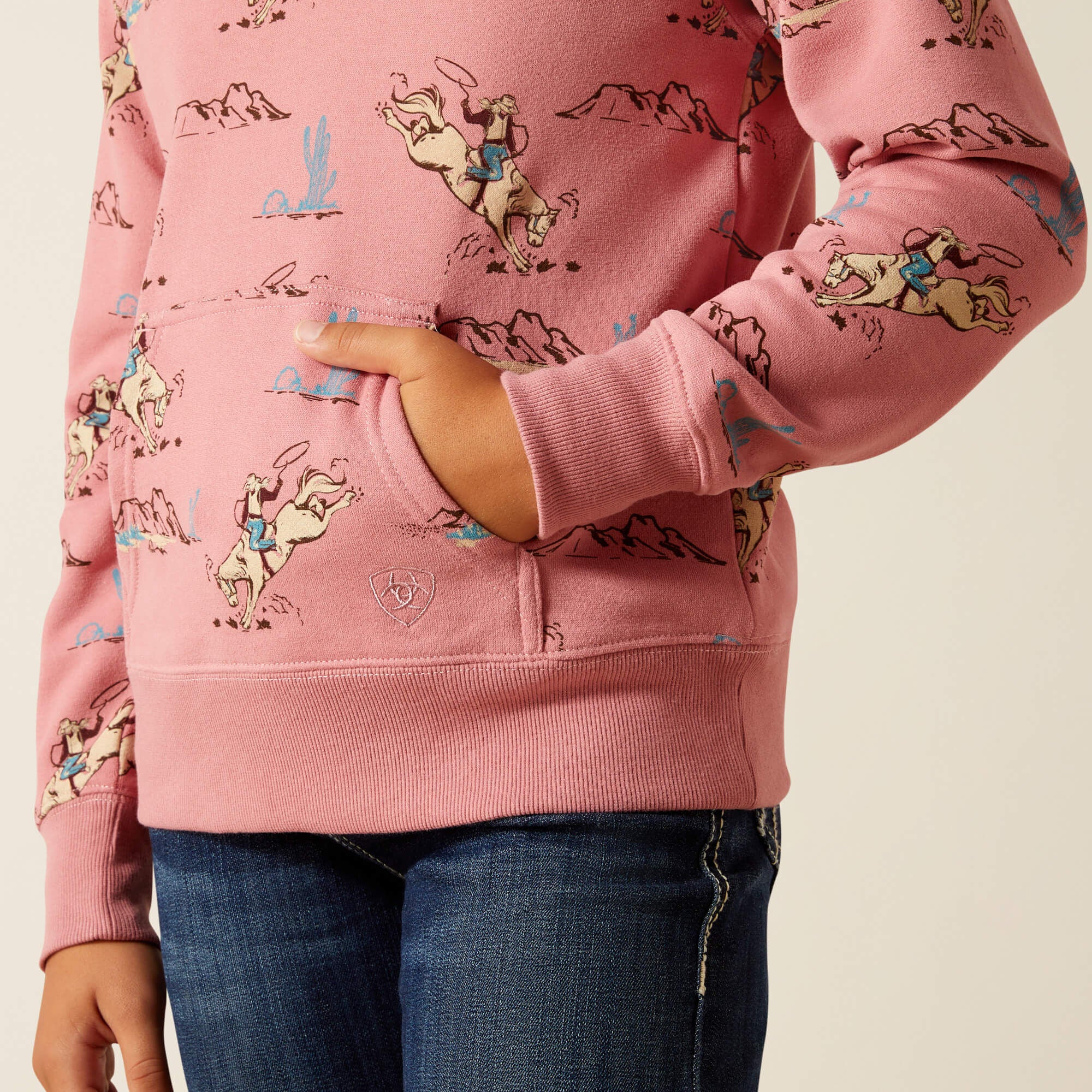 Ariat Bronc Scene 1/4 Zip Sweatshirt For Sale